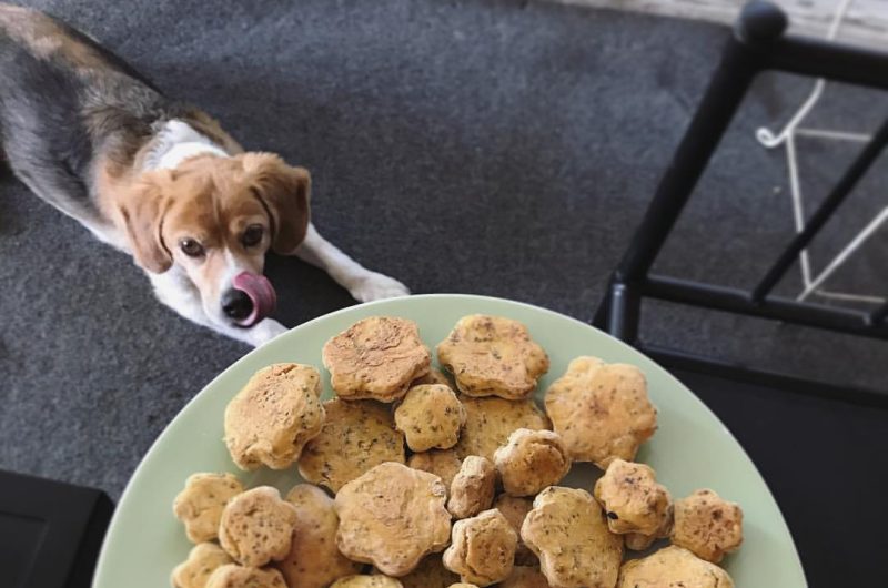 Pumpkin Chia Dog Biscuits