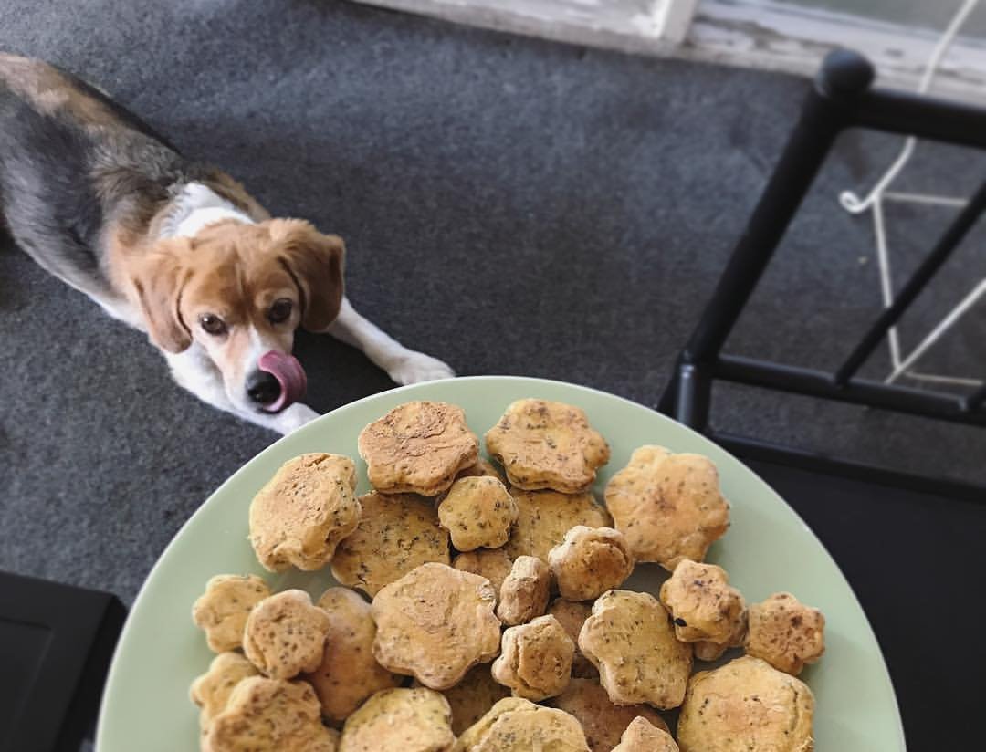 how to make beef liver dog treats