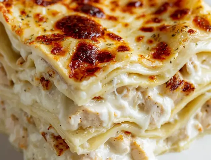 Chicken Alfredo Lasagna Recipe